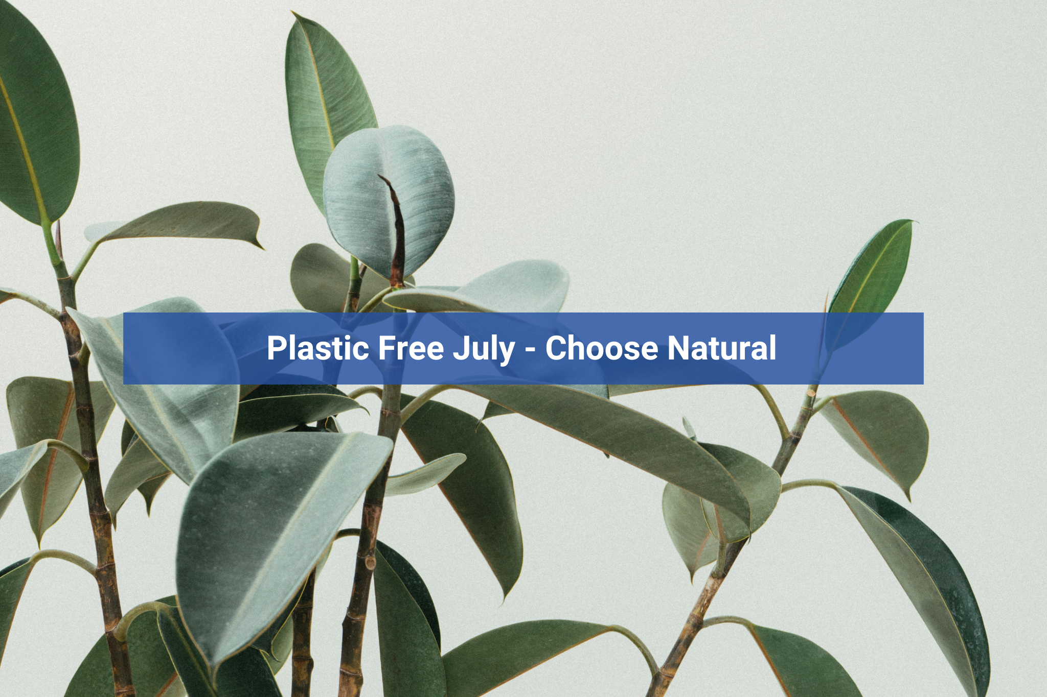 Choose Natural Ingredients for a dedicated Plastic-Free Cleaning Routine