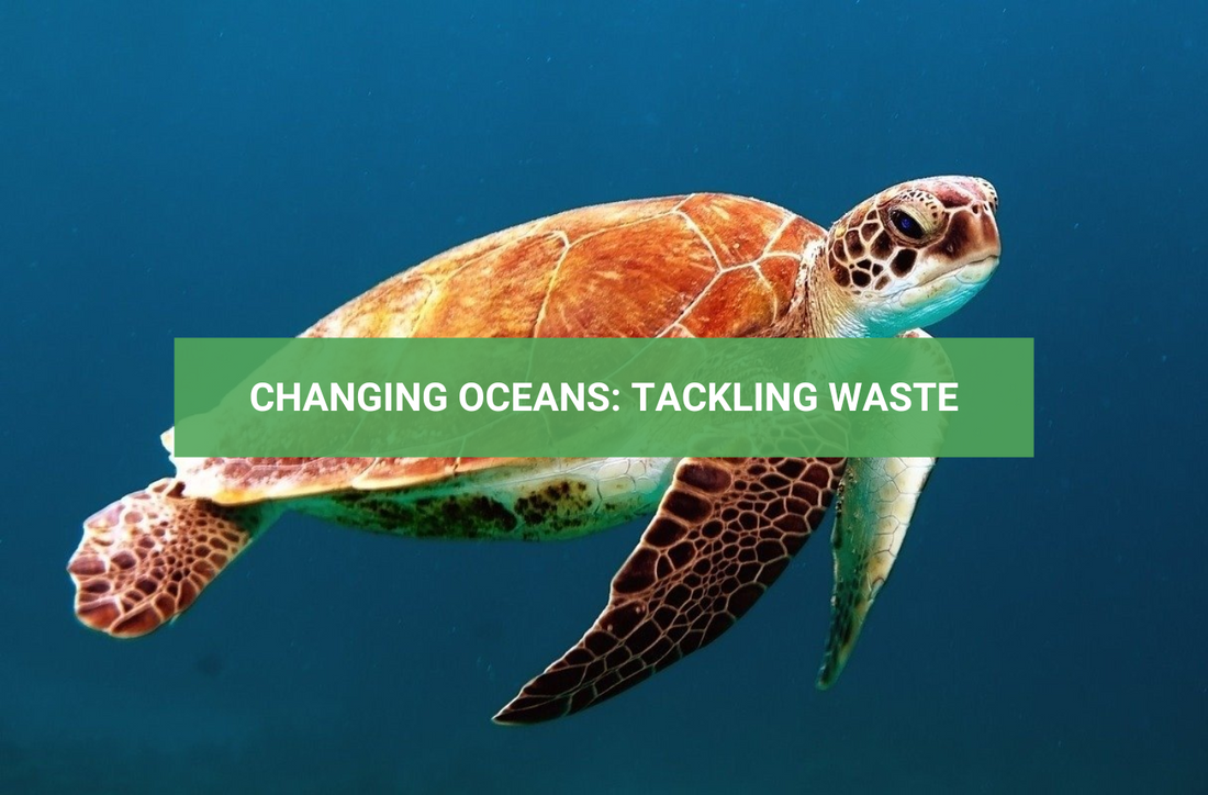 Tackling Waste in Oceans